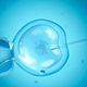 Illustration for article titled Who Gets to Decide the Fate of Embryos? A Missouri Bill Tries to Answer the Difficult Question